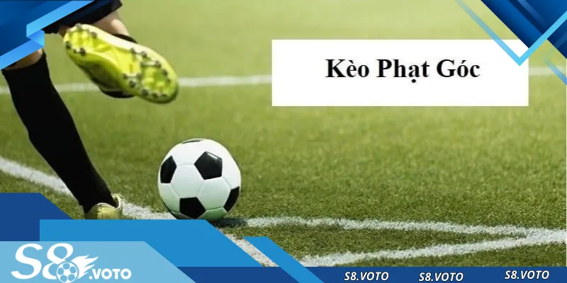 Hướng dẫn cách chơi dành cho tân thủ 2024